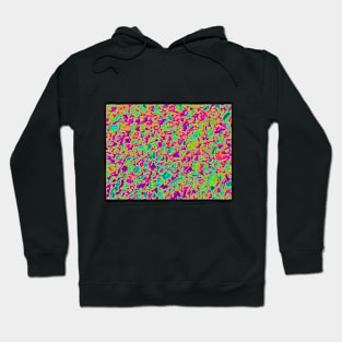 Fluro organic digital pebbles Hoodie